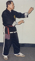 Master Choi Standing In San Ti